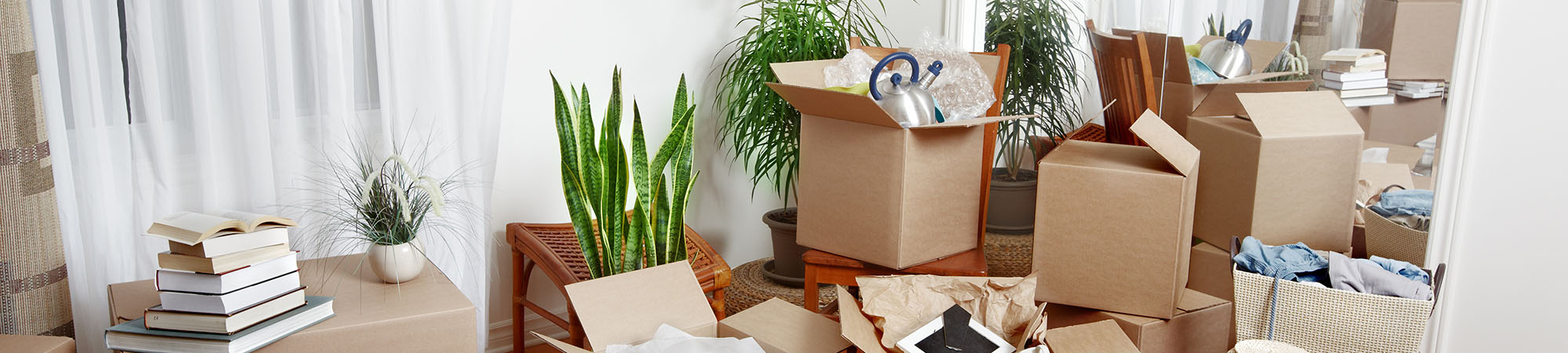 Photo of Contact Broomhill Removals