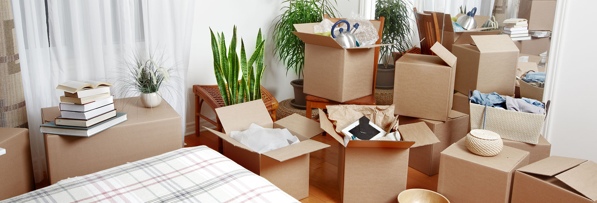 Photo of Furniture Transportation