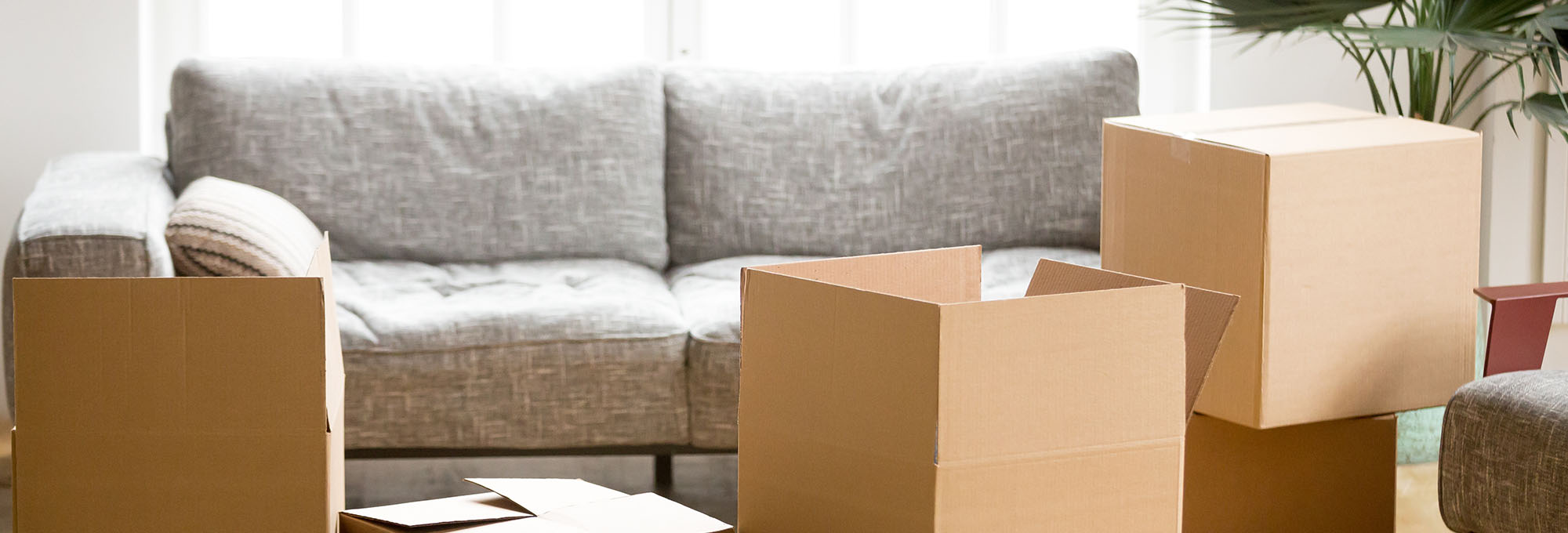Photo of House Clearance Services