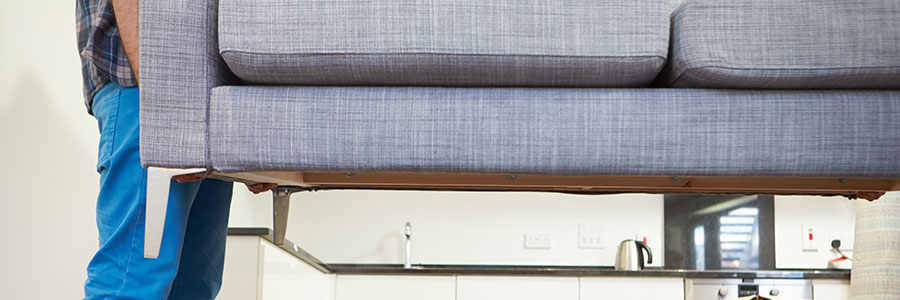 Home Removal Services