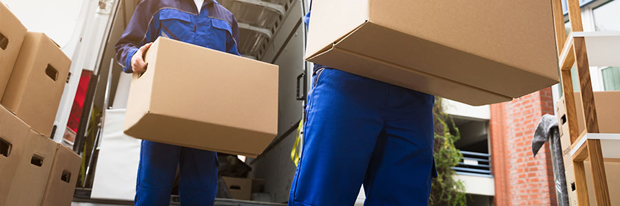 Store Collections / Courier Service